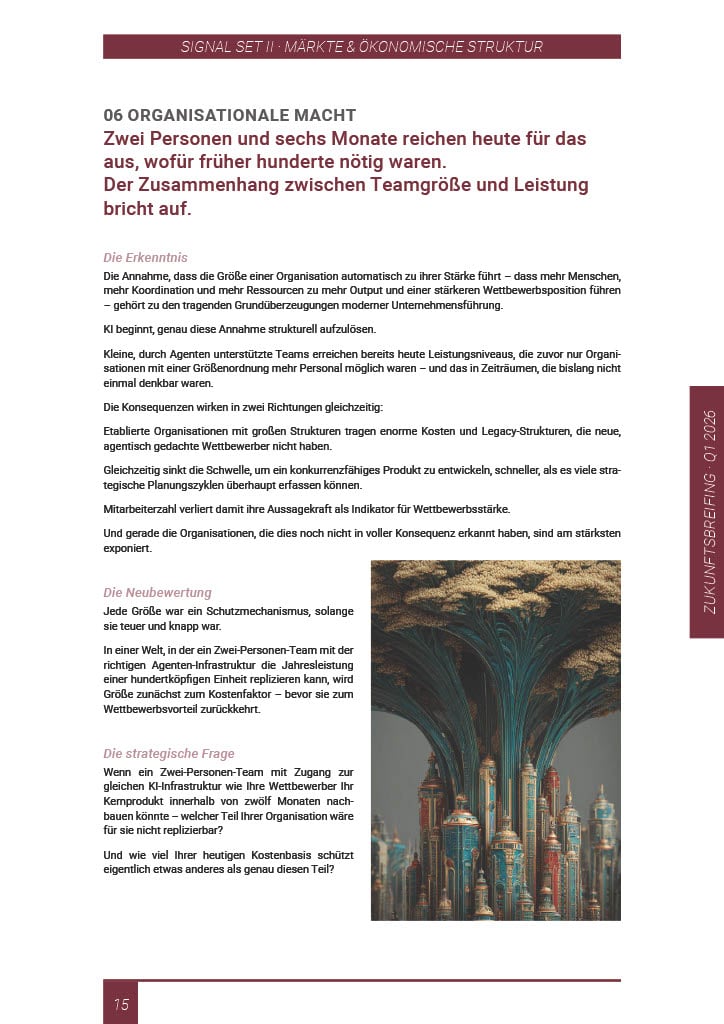 Vorschau Zukunftsbriefing, Signal 06 Organisationale Macht